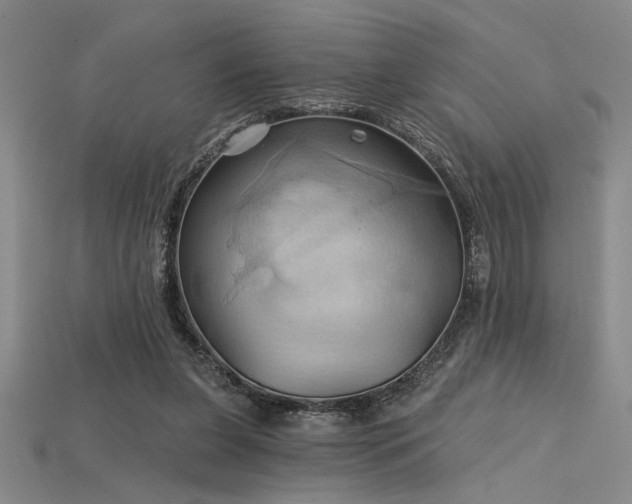 X0000115790255200911131314