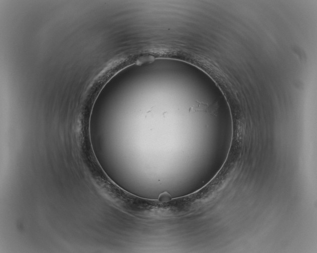 X0000115790256200911131314