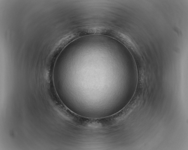 X0000115790258200911131314