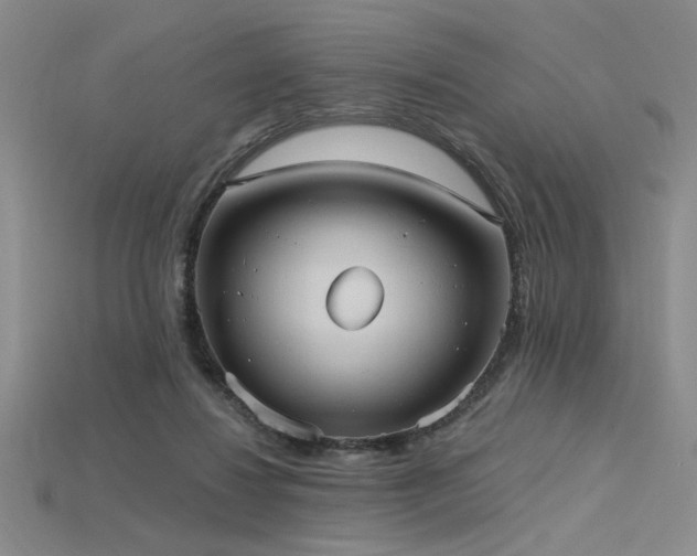 X0000115790260200911131314