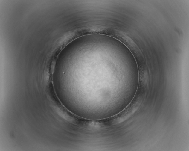 X0000115790261200911131314