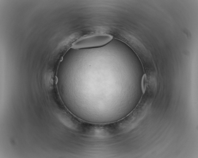 X0000115790264200911131314