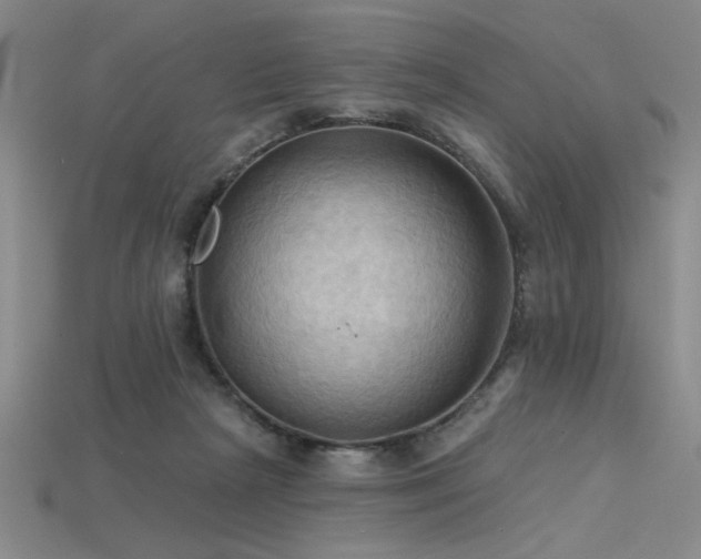 X0000115790265200911131314