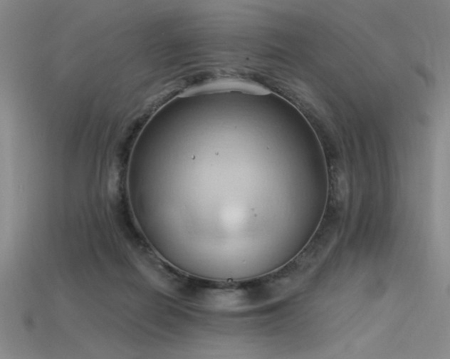 X0000115790266200911131314