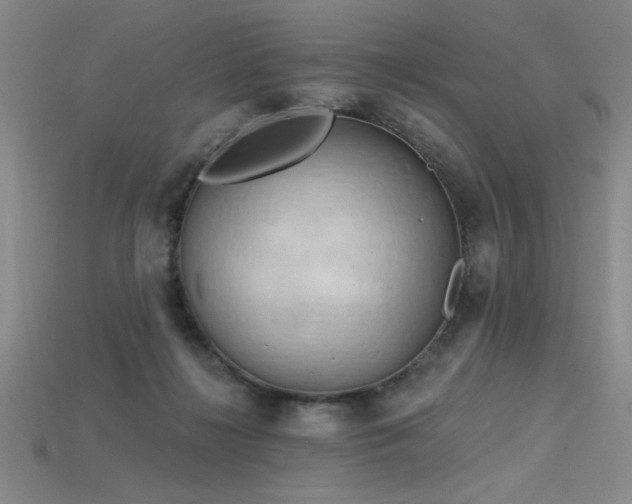 X0000115790268200911131314