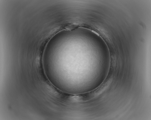 X0000115790269200911131314