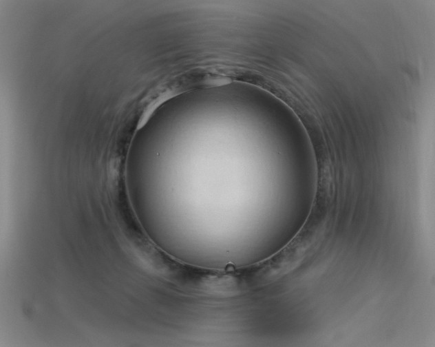 X0000115790271200911131314