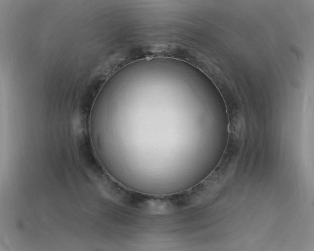 X0000115790272200911131314