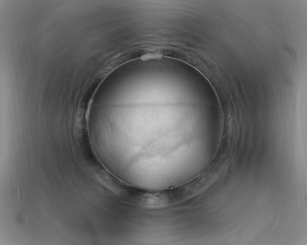 X0000115790275200911131314