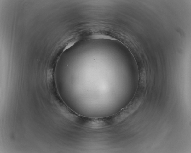 X0000115790278200911131314