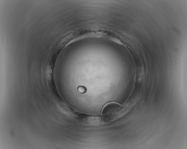 X0000115790279200911131314