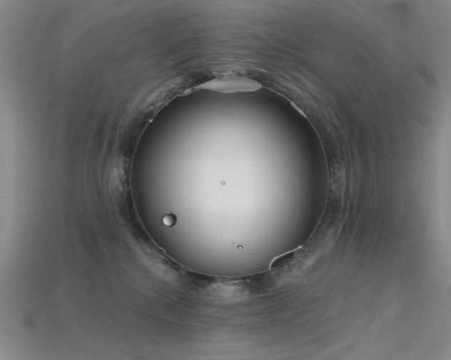 X0000115790280200911131314