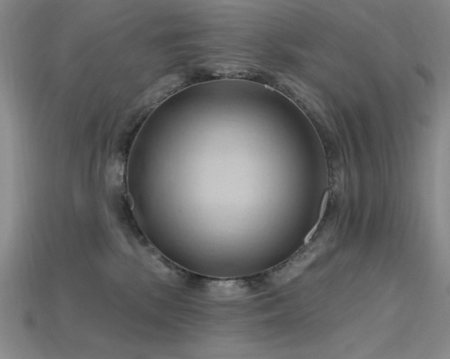 X0000115790281200911131314