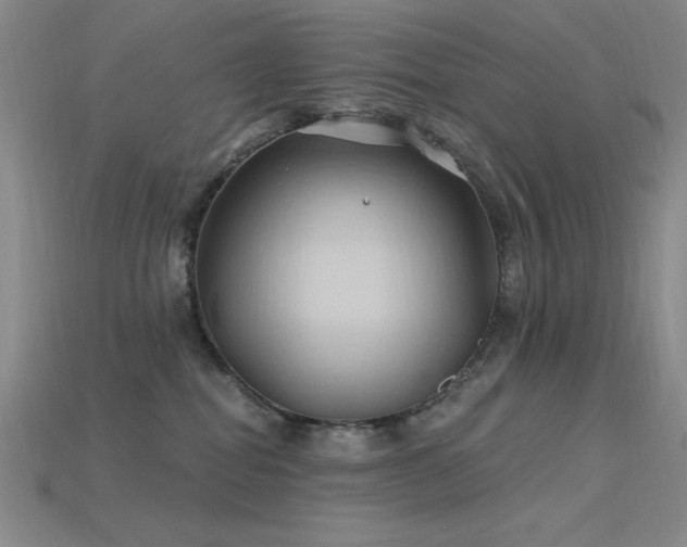 X0000115790282200911131314