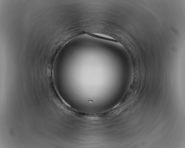 X0000115790284200911131314