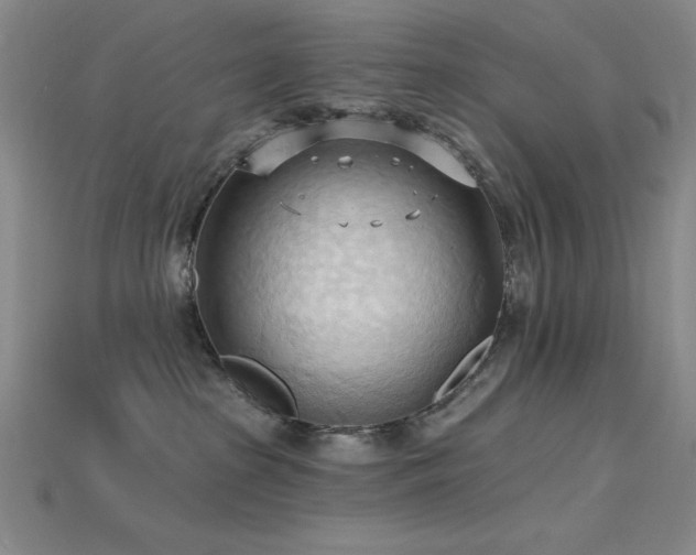 X0000115790285200911131314