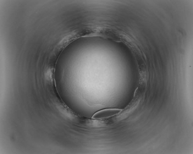 X0000115790286200911131314