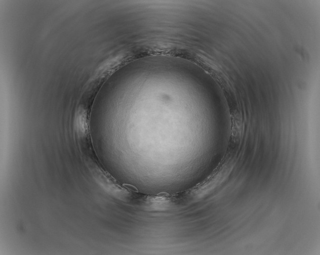 X0000115790287200911131314