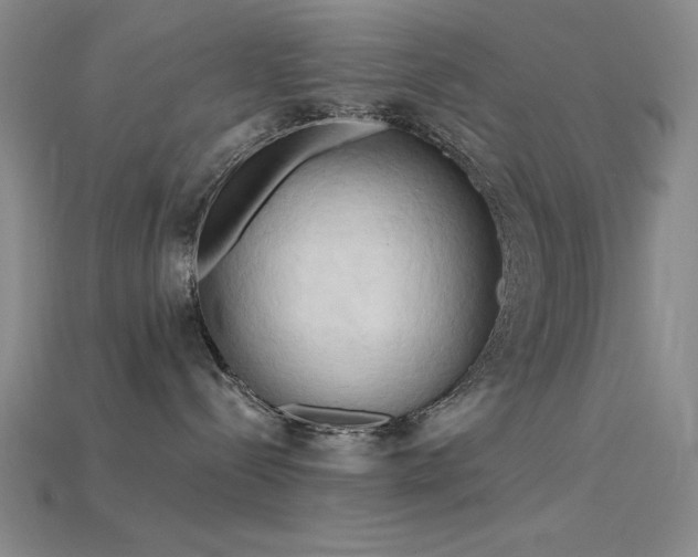 X0000115790288200911131314