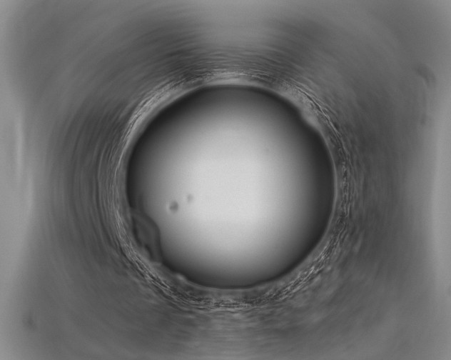 X0000115790289200911131314