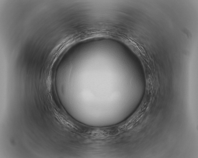 X0000115790290200911131314