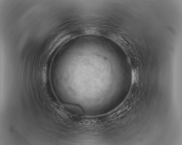 X0000115790291200911131314