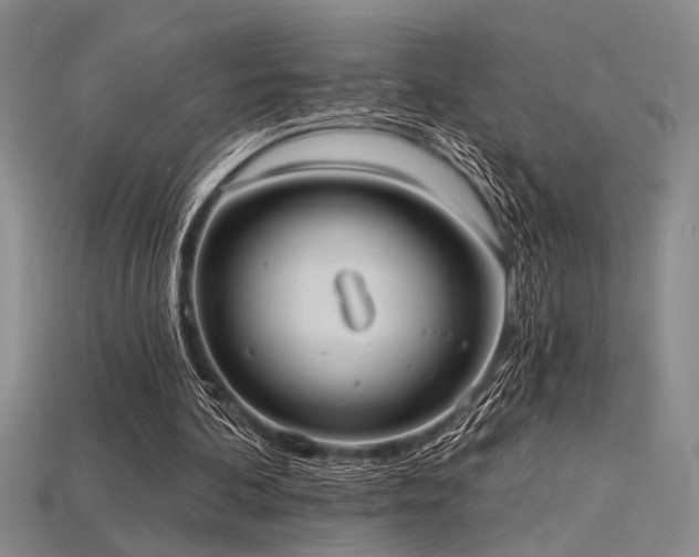 X0000115790292200911131314