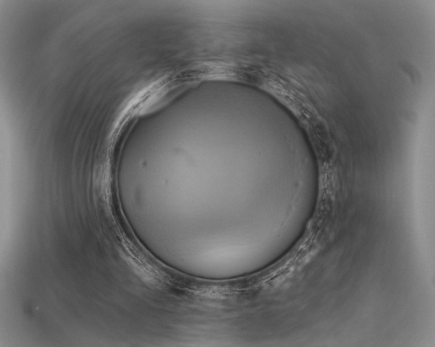 X0000115790293200911131314