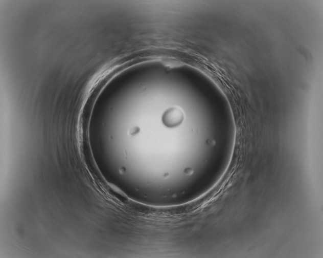 X0000115790294200911131314