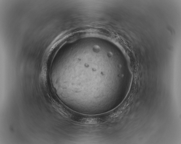 X0000115790295200911131314