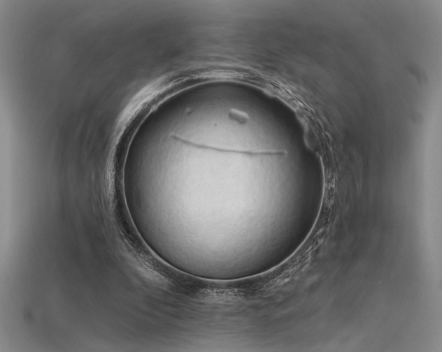 X0000115790296200911131314