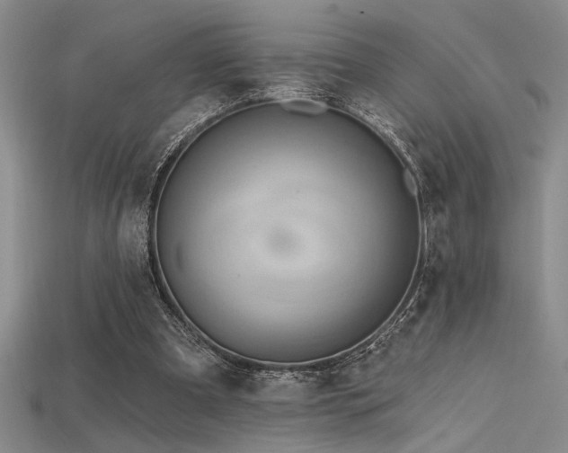 X0000115790297200911131314