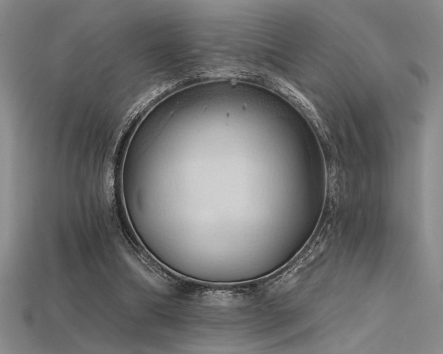 X0000115790298200911131314