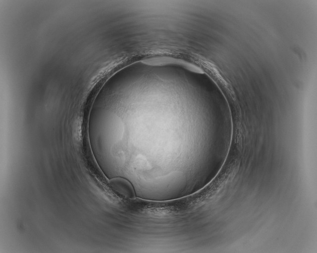 X0000115790299200911131314