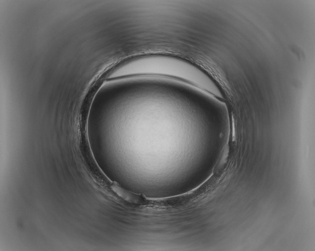 X0000115790300200911131314