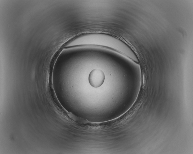 X0000115790301200911131314