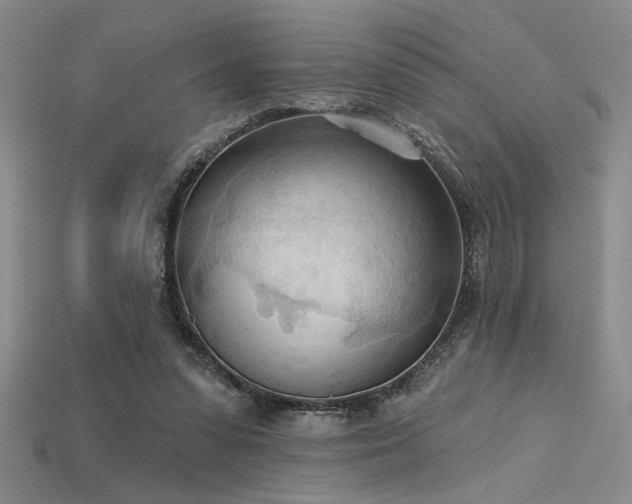 X0000115790303200911131313