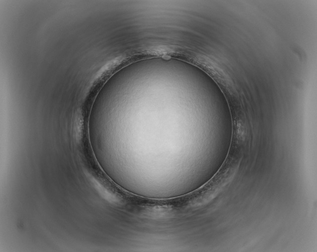 X0000115790304200911131313