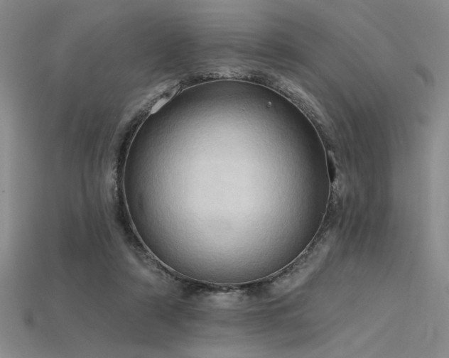 X0000115790306200911131313