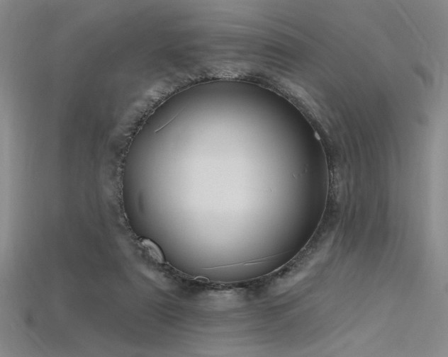 X0000115790307200911131313