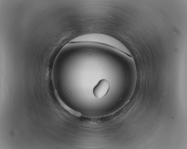 X0000115790308200911131313