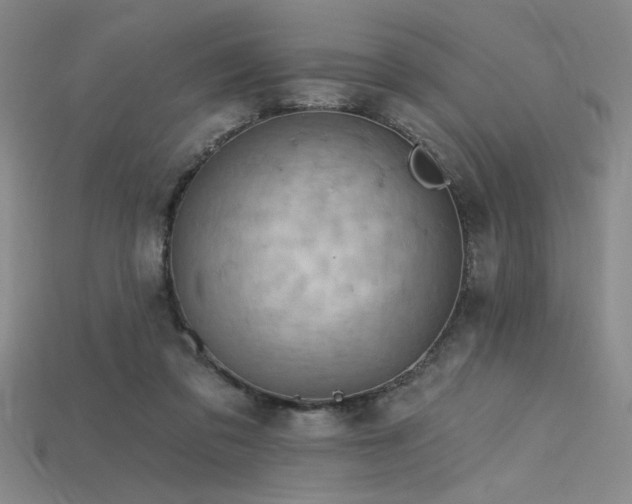 X0000115790309200911131313