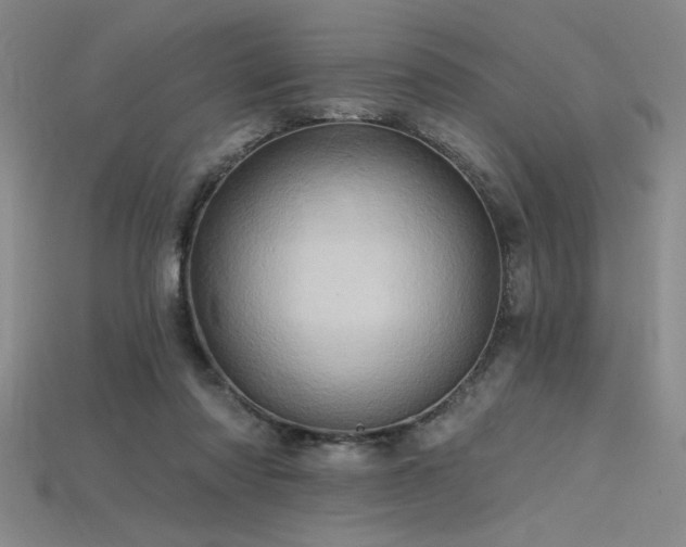 X0000115790310200911131313