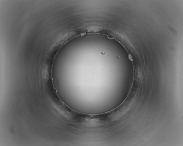 X0000115790311200911131313