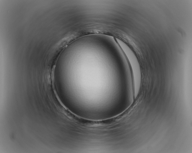 X0000115790313200911131313