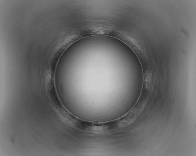 X0000115790314200911131313