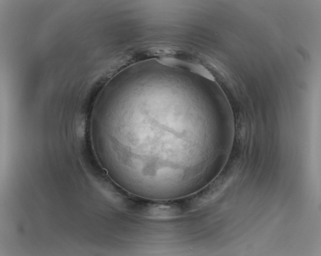 X0000115790315200911131313