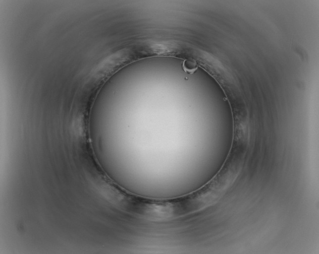 X0000115790317200911131313