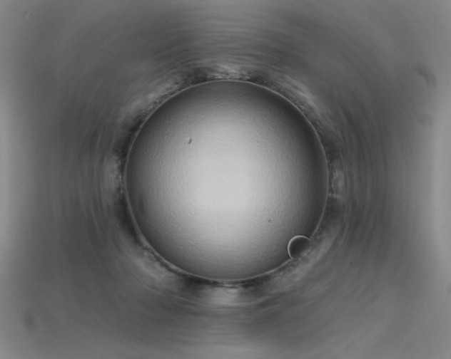 X0000115790318200911131313