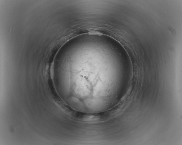 X0000115790319200911131313